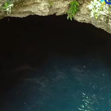Buscan a estudiante desaparecido en cenote de campus universitario en Mérida