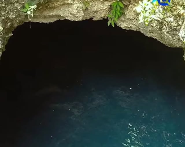 Cenote Buscan a estudiante desaparecido en cenote de campus universitario en Mérida
