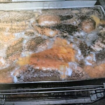 Consigue FGR vinculación a proceso contra tres personas detenidas con casi 250 kilos de pepino de mar en Yucatán