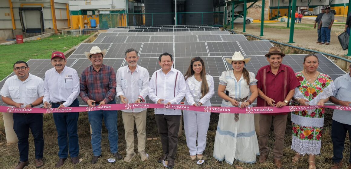 Renacimiento (1) Impulsa Gobernador Joaquín Díaz Mena inversión, tecnología y apoyos para el campo yucateco