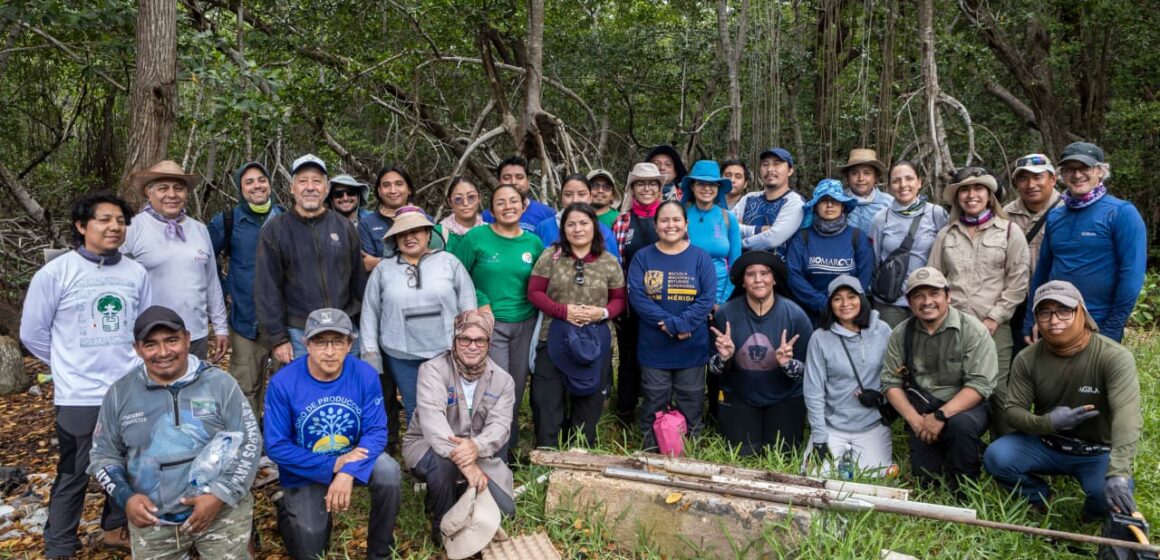 carbonoazul (2) Especialistas crean red de carbono azul para conservar ecosistemas costeros