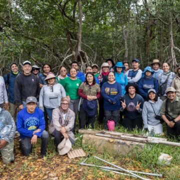 carbonoazul (2) Especialistas crean red de carbono azul para conservar ecosistemas costeros