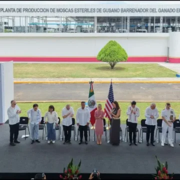 chiapas Planta de moscas estériles: México y EU la inauguran en Chiapas
