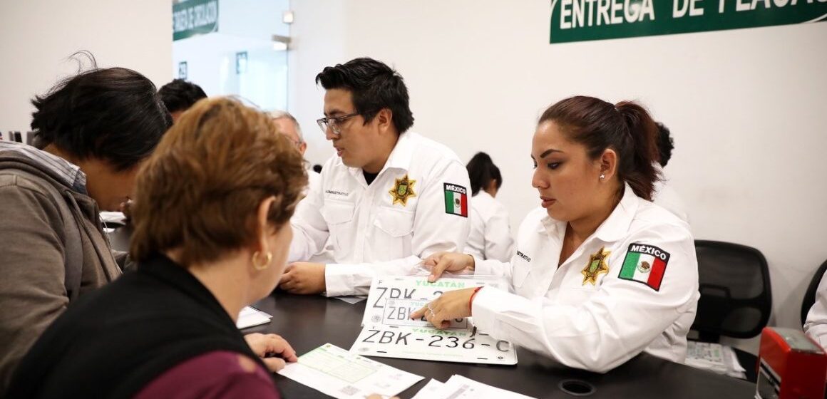 replacamiento Programa de Reemplacamiento 2025 concluye con participación superior al 88%