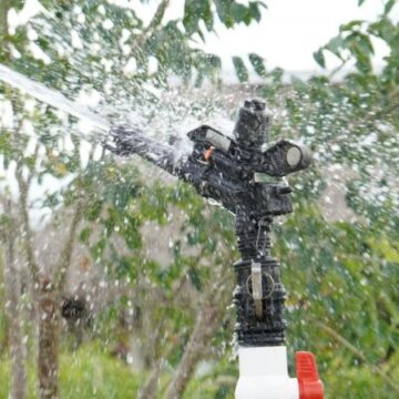 sistema Sistema de riego con paneles solares mejora producción agrícola en Motul