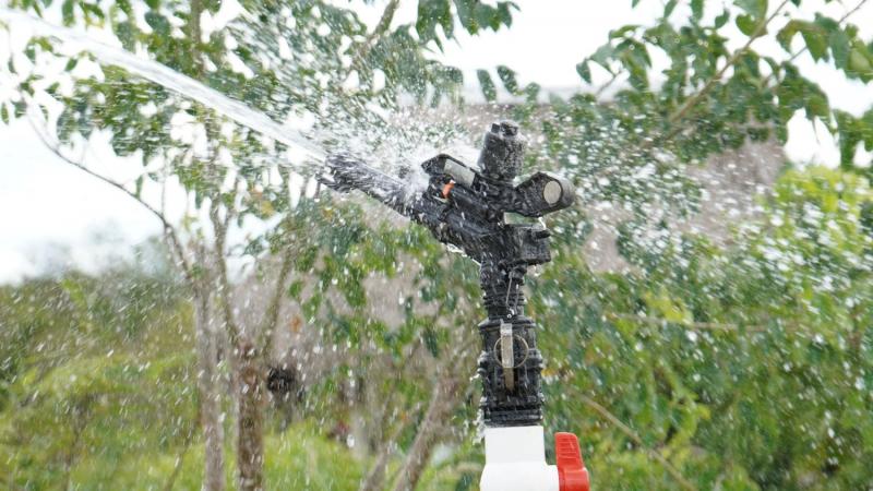sistema Sistema de riego con paneles solares mejora producción agrícola en Motul