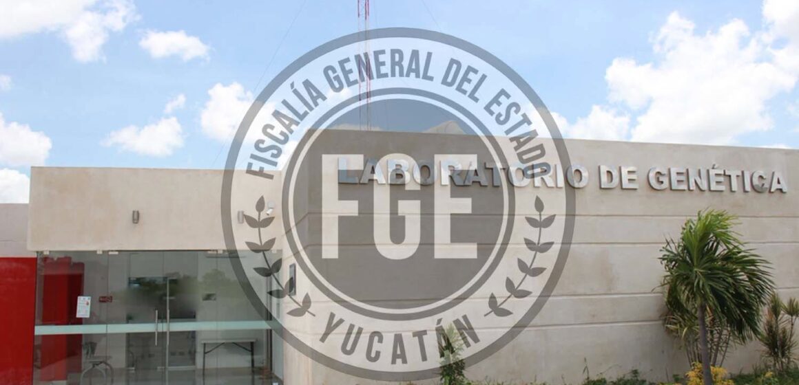 FGE_yucatán Convocatoria SEGUROS DE AUTO