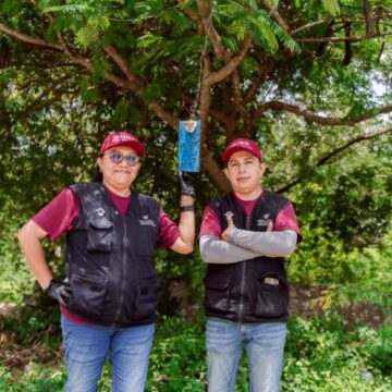 Revisión de heridas, clave para prevenir infestaciones por gusano barrenador