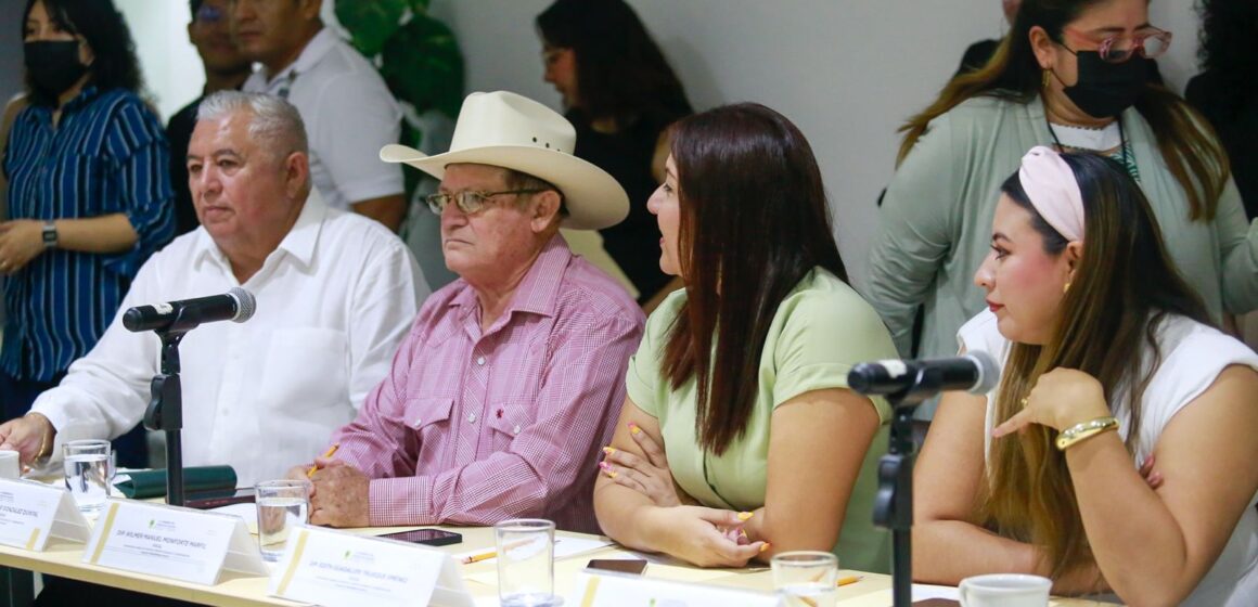 Comisiones Unidas avanzan en el proceso de consulta a personas con discapacidad para dar cumplimiento a resoluciones de la Suprema Corte