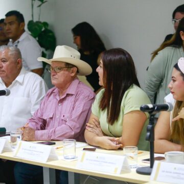Comisiones Unidas avanzan en el proceso de consulta a personas con discapacidad para dar cumplimiento a resoluciones de la Suprema Corte