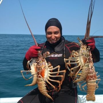 Inicia temporada de captura de langosta en Yucatán con llamado a la pesca responsable