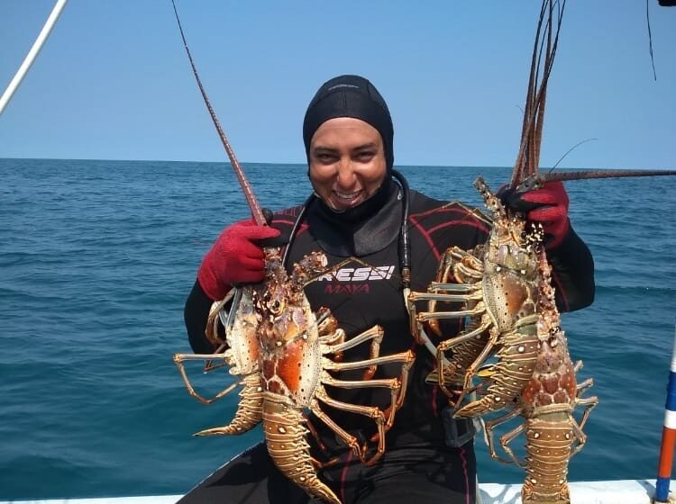 Inicia temporada de captura de langosta en Yucatán con llamado a la pesca responsable
