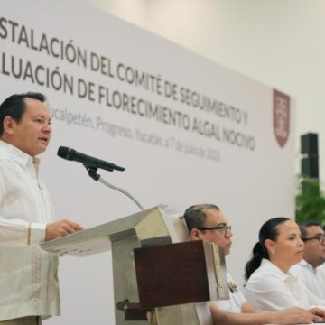 Playas (1) Playas de Yucatán, vigiladas y seguras: Gobierno del Renacimiento Maya activa monitoreo permanente contra la marea roja