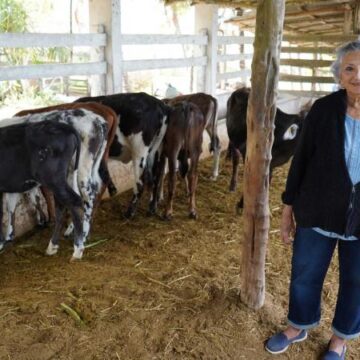 Renacimiento Maya respalda producción lechera en el oriente de Yucatán