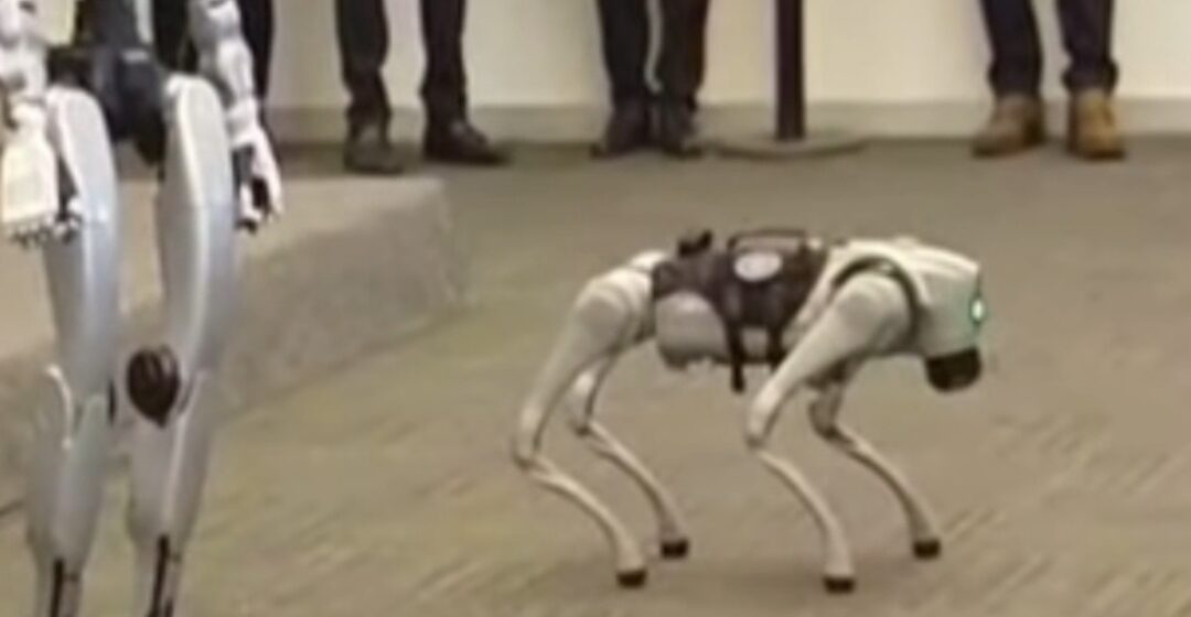Ceci y K7 Una realidad robótica que aumenta en nuestro entorno