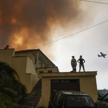 Incendio en almacén de alimentos en Argelia deja tres muertos y 34 intoxicados