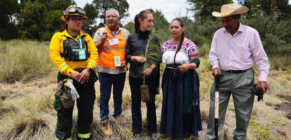 Conagua participa en reforestación de ejido en Izamal