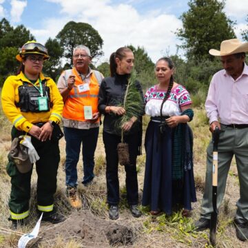 Conagua participa en jornada de reforestación en Izamal (2) Conagua participa en reforestación de ejido en Izamal