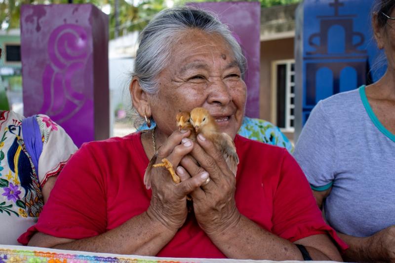 DIF Yucatán entrega pollitas ponedoras para seguridad alimentaria (1) DIF Yucatán impulsa seguridad alimentaria con aves
