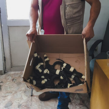 Denuncia-ilegal (1) Profepa denuncia transporte ilegal de cocodrilos y tortugas en Tabasco