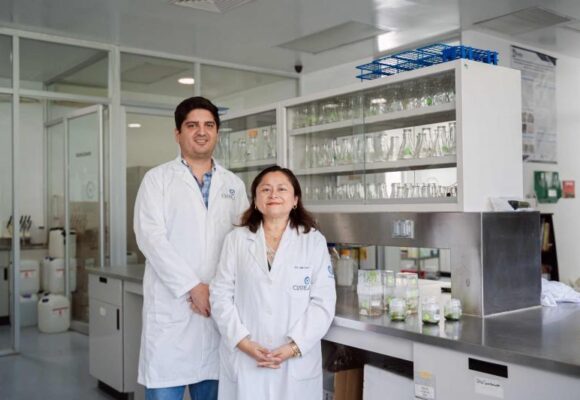 Especialistas mundiales en biotecnología se reunirán en Yucatán