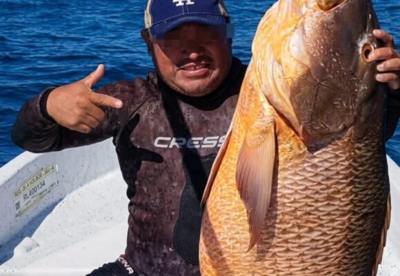 Segundo buzo pierde la vida durante la temporada de pulpo y langosta en Yucatán