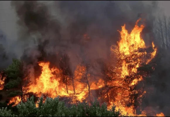 Incendios forestales en Canadá obligan a evacuar a 5 mil personas