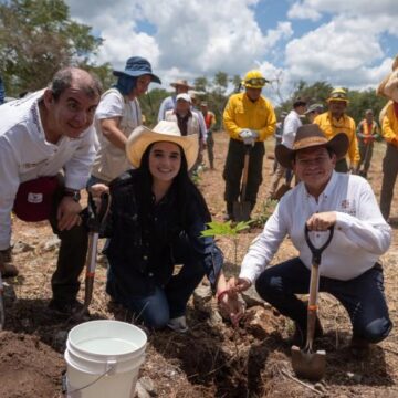 Jornada Nacional de Reforestación 2026 en Yucatán (1) Yucatán reforesta 292 hectáreas con 64 mil plantas