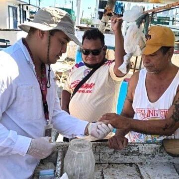 Yucatán refuerza acciones para erradicar el paludismo