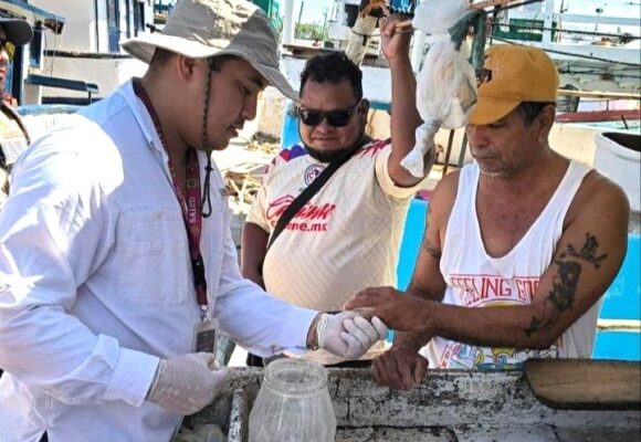 Yucatán refuerza acciones para erradicar el paludismo