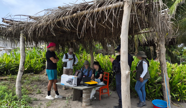 vigilancia-tortugas-marinas-veracruz (1) Profepa intensifica vigilancia de tortugas marinas en Veracruz
