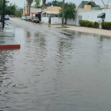 Crecimiento urbano y retos climáticos en Mérida: una mirada hacia el desarrollo sostenible